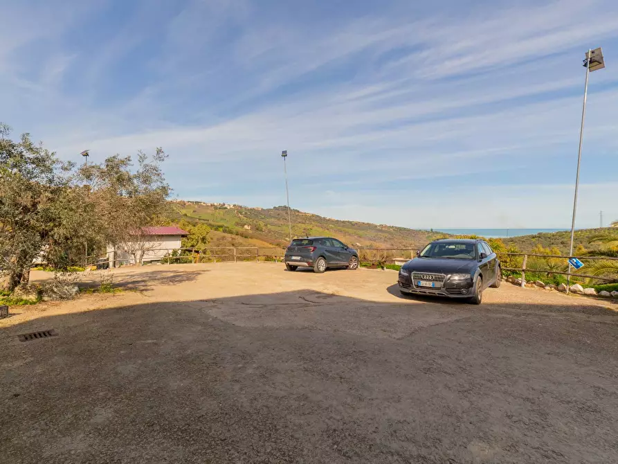 Immagine 51 di Azienda agricola in vendita  in VIA VILIGNINA 50 a Vasto