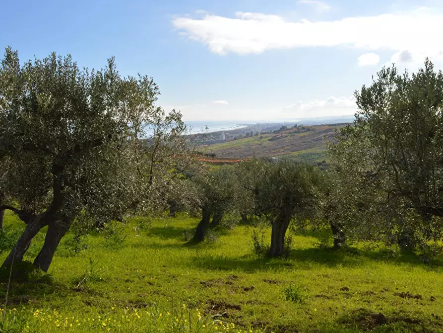 Immagine 4 di Terreno agricolo in vendita  in Via della Croce di Montevecchio 30 a Vasto