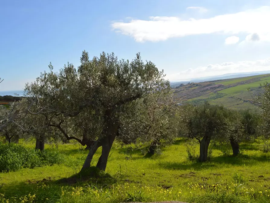 Immagine 6 di Terreno agricolo in vendita  in Via della Croce di Montevecchio 30 a Vasto