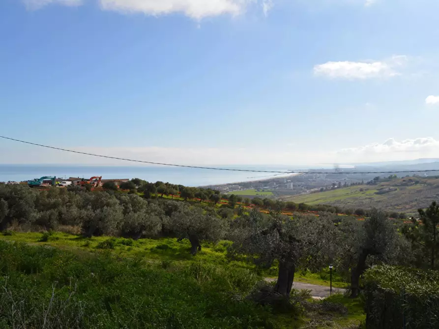 Immagine 7 di Terreno agricolo in vendita  in Via della Croce di Montevecchio 30 a Vasto