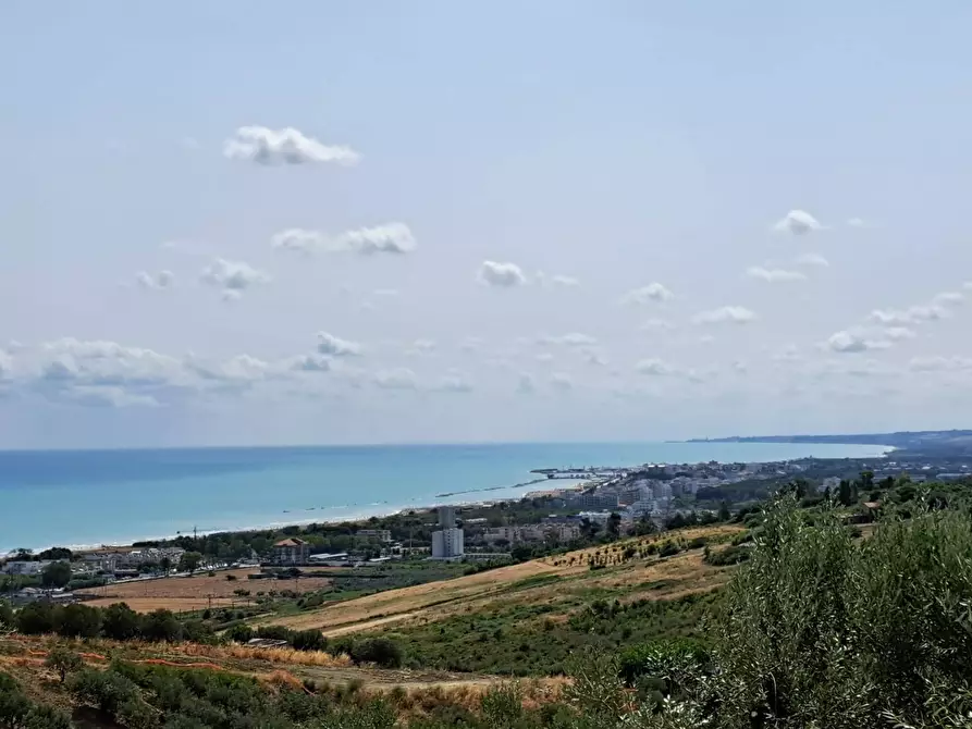 Immagine 3 di Terreno agricolo in vendita  in Via della Croce di Montevecchio 30 a Vasto
