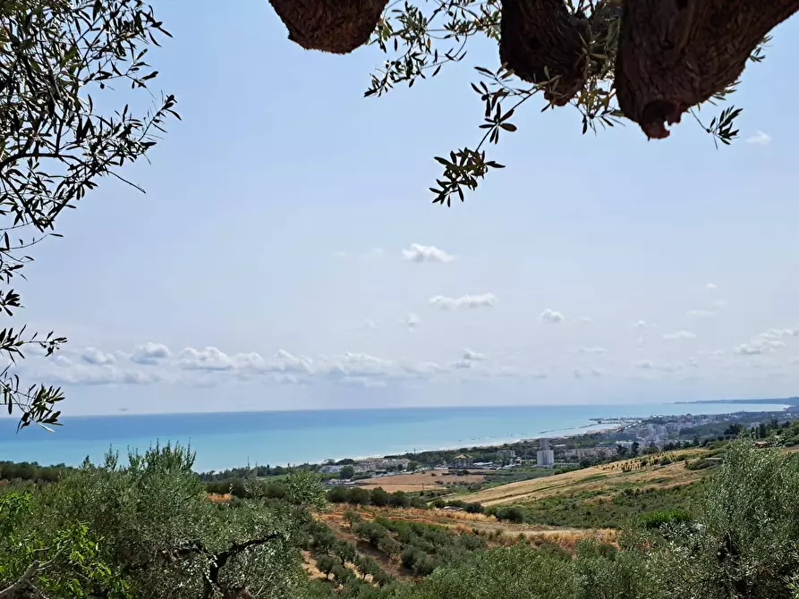 Immagine 5 di Terreno agricolo in vendita  in Via della Croce di Montevecchio 30 a Vasto