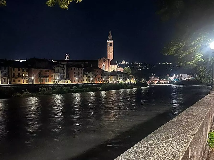 Immagine 9 di Bar / Ristorante in vendita  in Lungadige Re Teodorico 1 a Verona