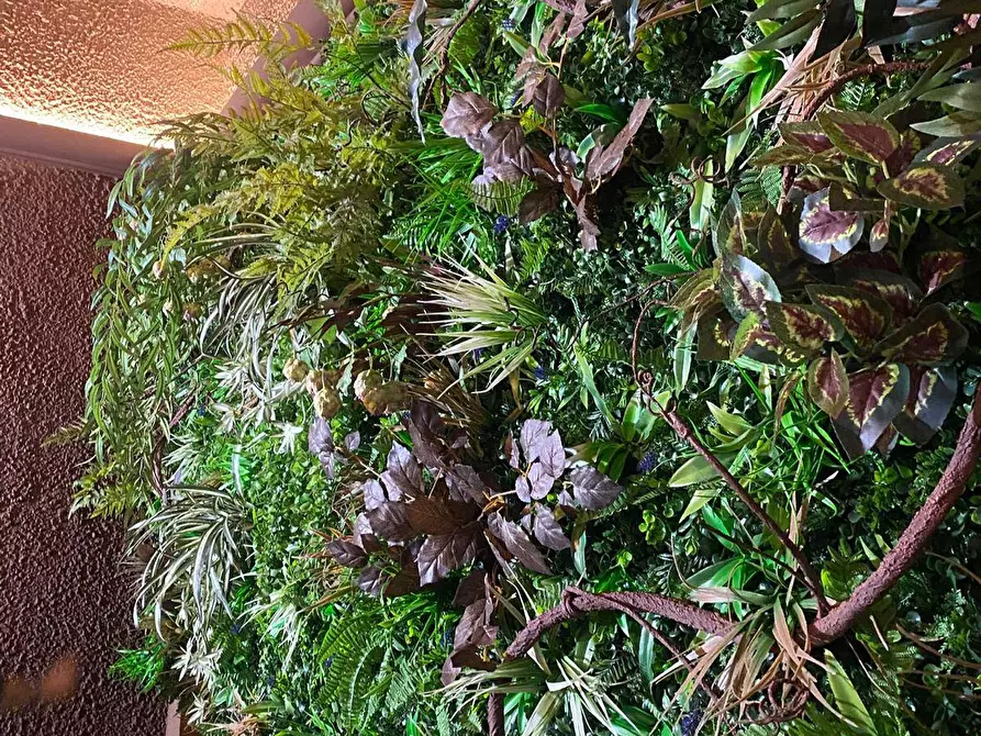 Immagine 6 di Bar / Ristorante in vendita  in via roma 5 a Isola Della Scala