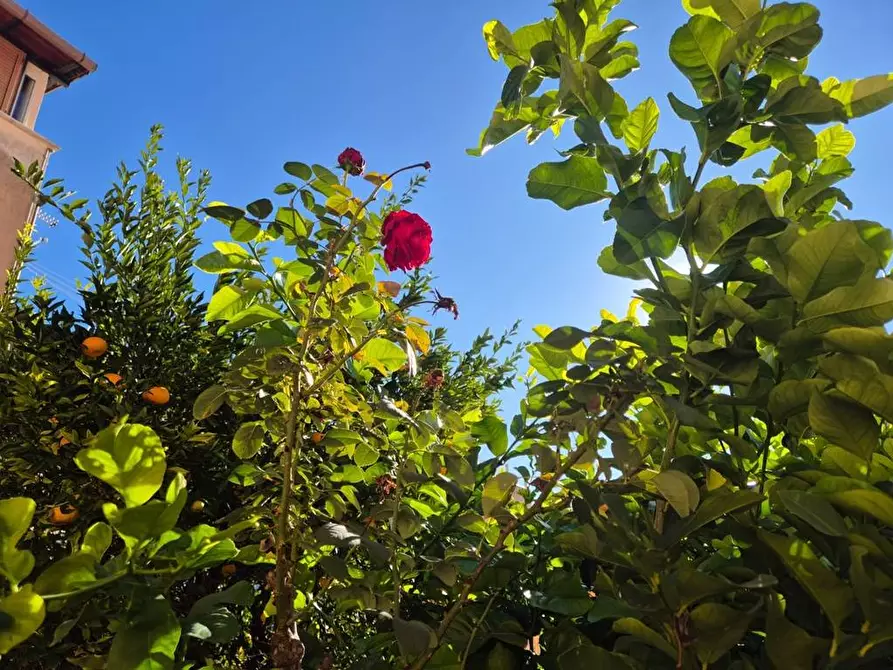 Immagine 10 di Appartamento in vendita  in SALITA SANT'ANTONINO 21 a Monreale