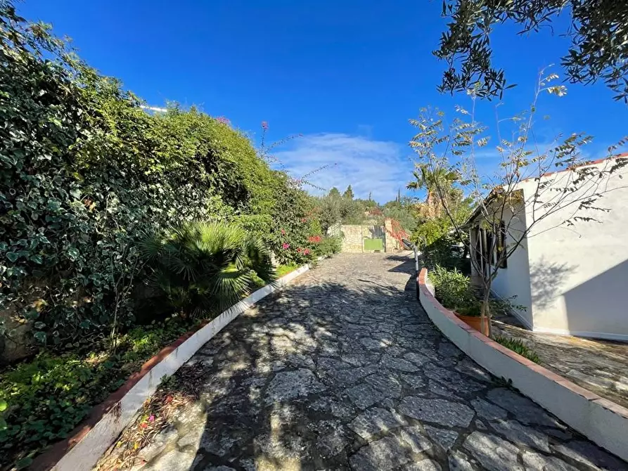 Immagine 2 di Villa in affitto  in Contrada Scardina a Castellammare Del Golfo