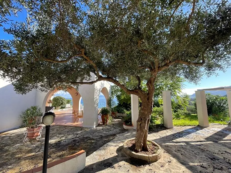 Immagine 28 di Villa in affitto  in Contrada Scardina a Castellammare Del Golfo