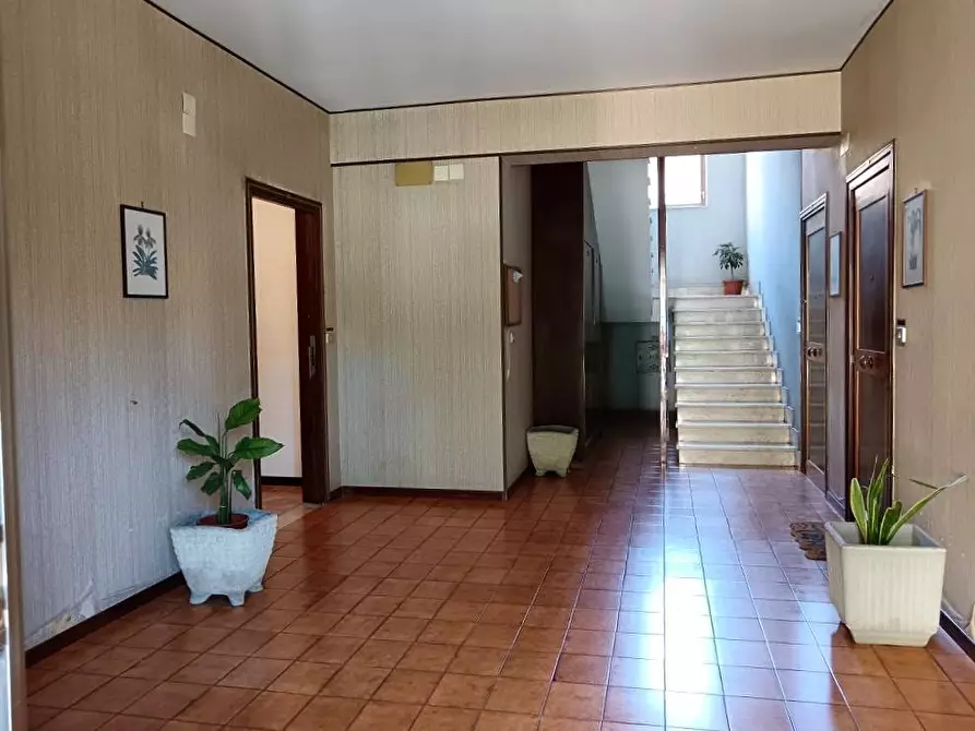 Immagine 34 di Appartamento in vendita  in Via Olivella 5 a Palermo
