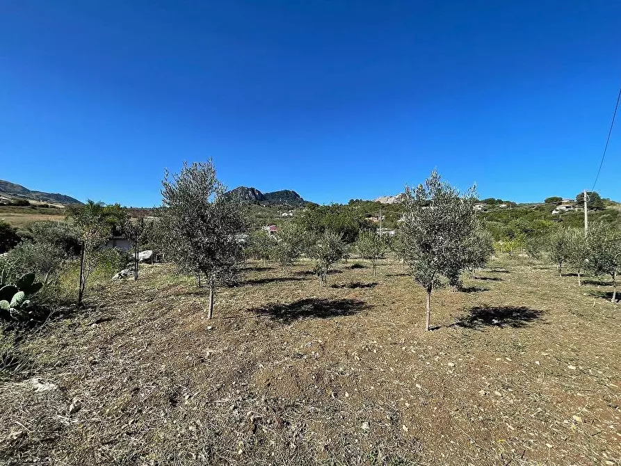 Immagine 43 di Villa in vendita  in Contrada Montagnola SNC a Monreale