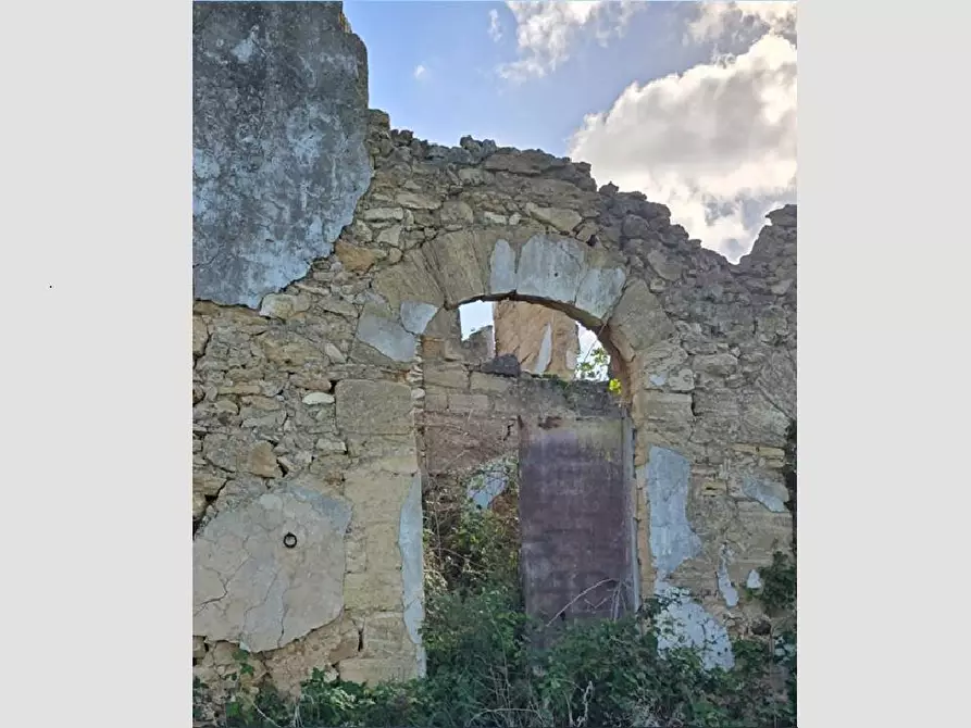 Immagine 7 di Rustico / casale in vendita  in ss 113 a Partinico