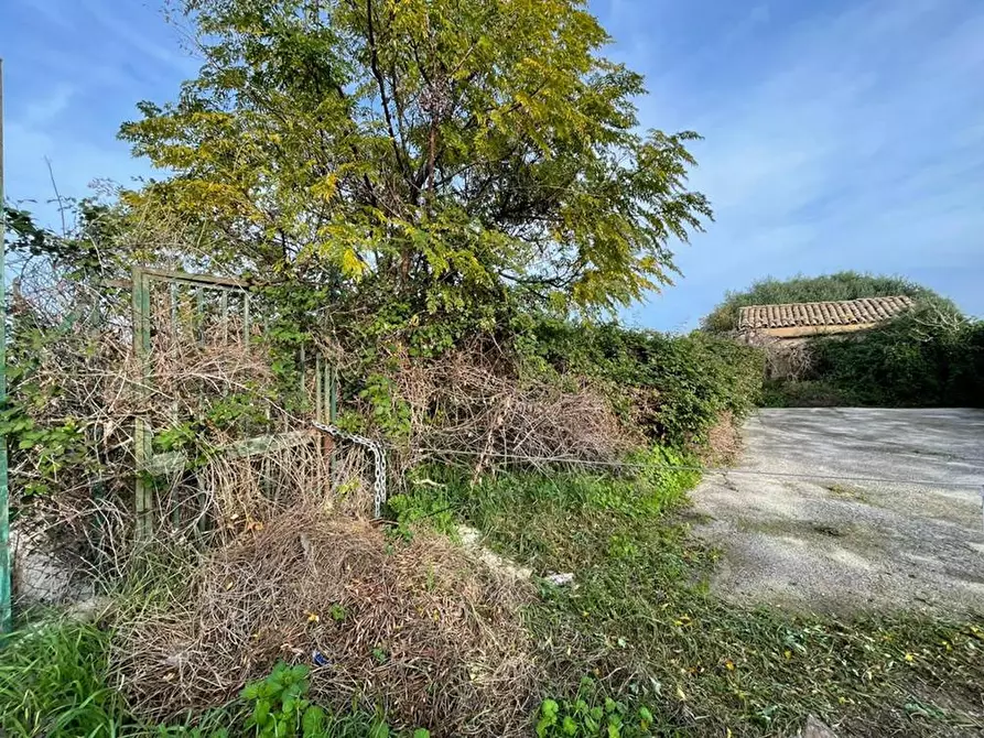 Immagine 3 di Terreno agricolo in vendita  in Via Giardini della Fawara a Palermo