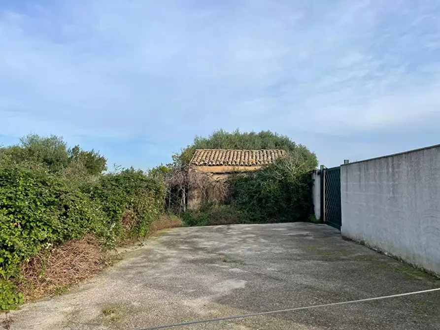 Immagine 4 di Terreno agricolo in vendita  in Via Giardini della Fawara a Palermo