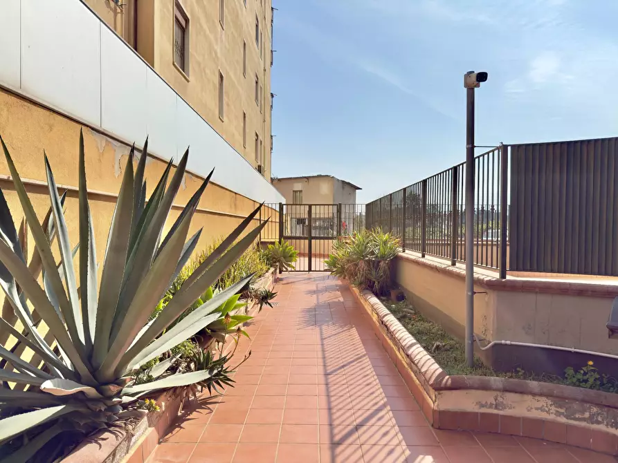 Immagine 36 di Appartamento in vendita  in Politi Raffaello 4 a Palermo