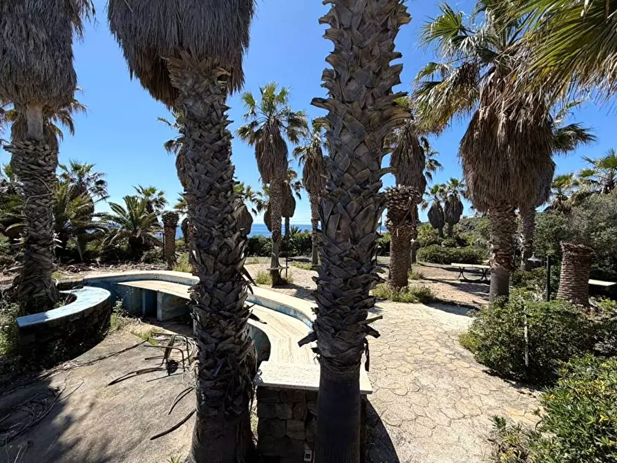 Immagine 19 di Locale commerciale in vendita  in Contrada Roncone Salerno a Pantelleria