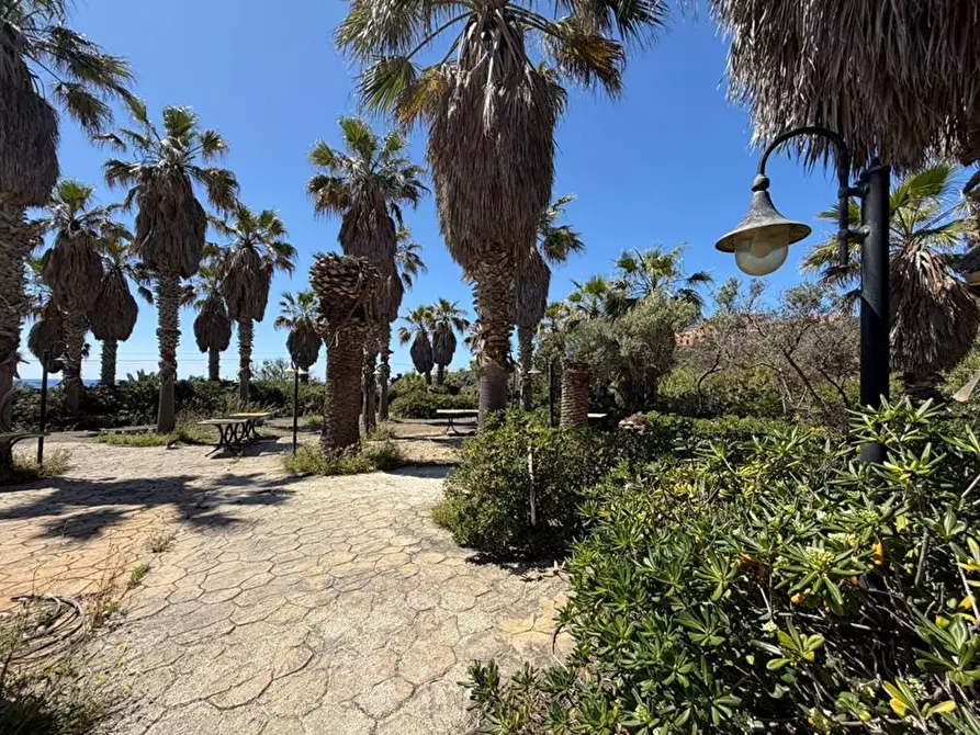 Immagine 22 di Locale commerciale in vendita  in Contrada Roncone Salerno a Pantelleria