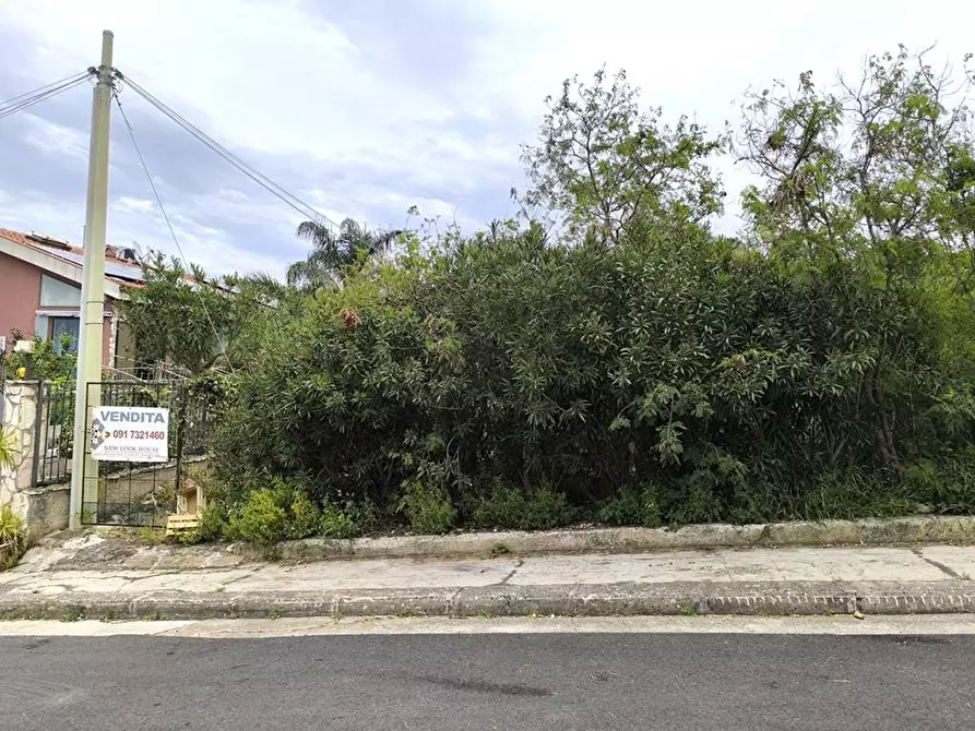 Immagine 5 di Terreno residenziale in vendita  in suvarita 3 a Trabia