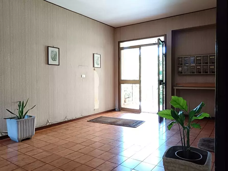 Immagine 35 di Appartamento in vendita  in Via Olivella 5 a Palermo