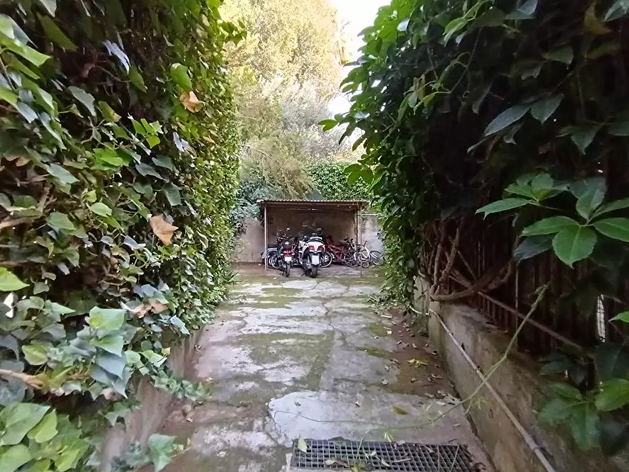 Immagine 38 di Appartamento in vendita  in Via Olivella 5 a Palermo