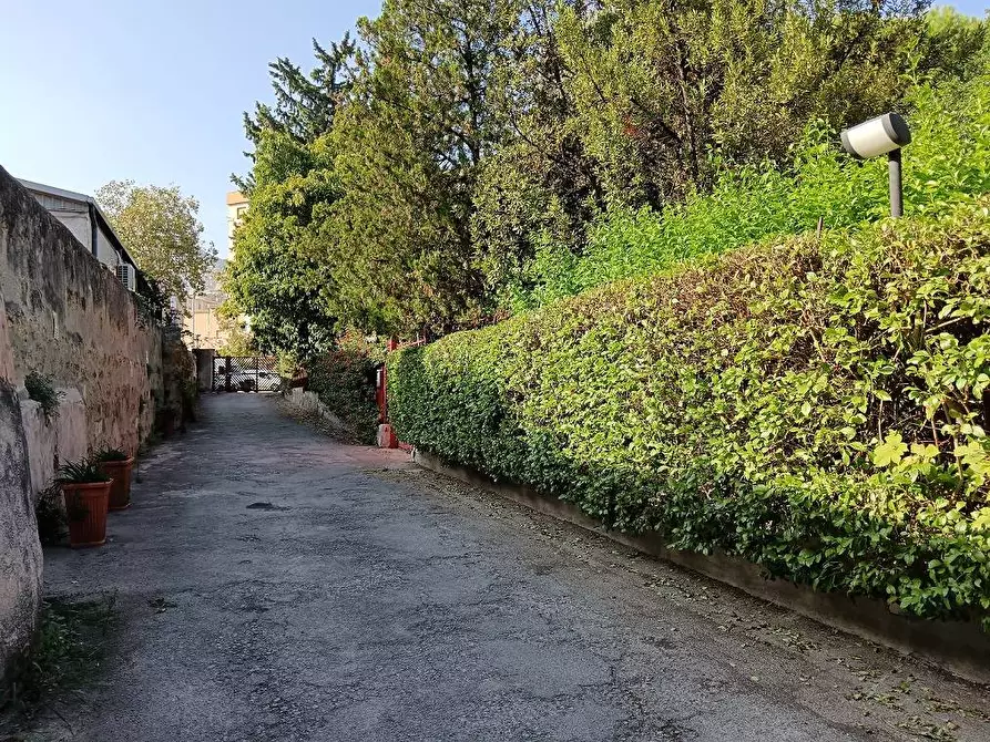 Immagine 43 di Appartamento in vendita  in Via Olivella 5 a Palermo