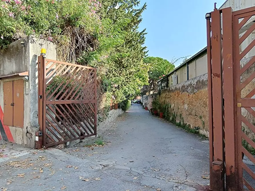 Immagine 44 di Appartamento in vendita  in Via Olivella 5 a Palermo