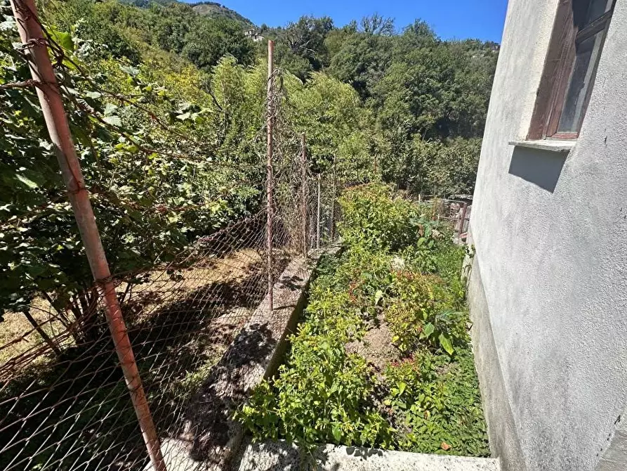 Immagine 16 di Villa in vendita  in Contrada Fiumara 40 a Tortorici
