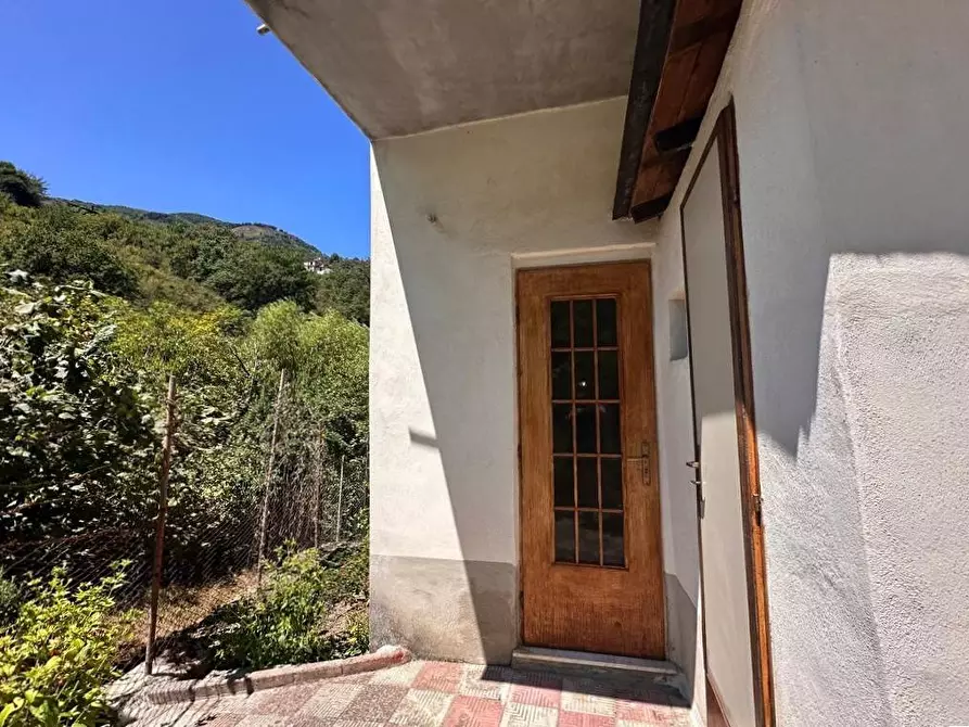 Immagine 20 di Villa in vendita  in Contrada Fiumara 40 a Tortorici