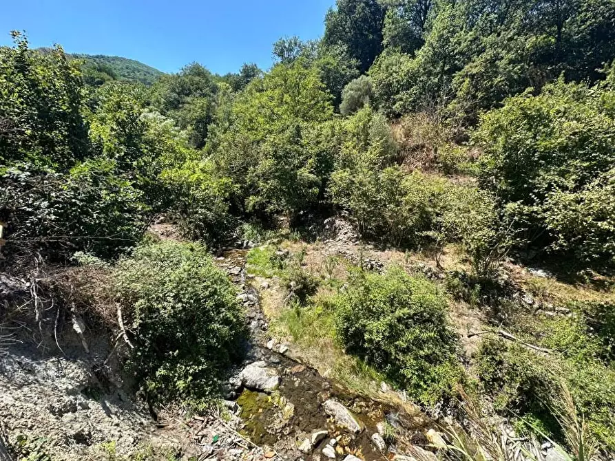 Immagine 27 di Villa in vendita  in Contrada Fiumara 40 a Tortorici