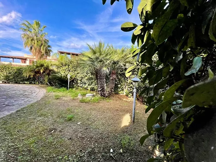 Immagine 23 di Villa in vendita  in Contrada Pistavecchia 203 a Campofelice Di Roccella
