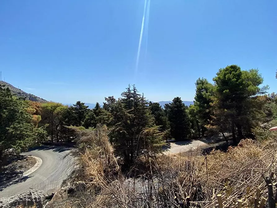 Immagine 51 di Villa in vendita  in Stradale Bellolampo 4700 a Palermo