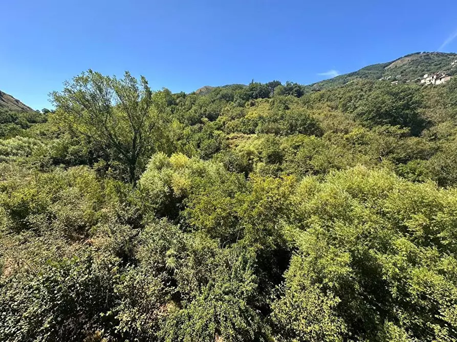 Immagine 28 di Villa in vendita  in Contrada Fiumara 40 a Tortorici