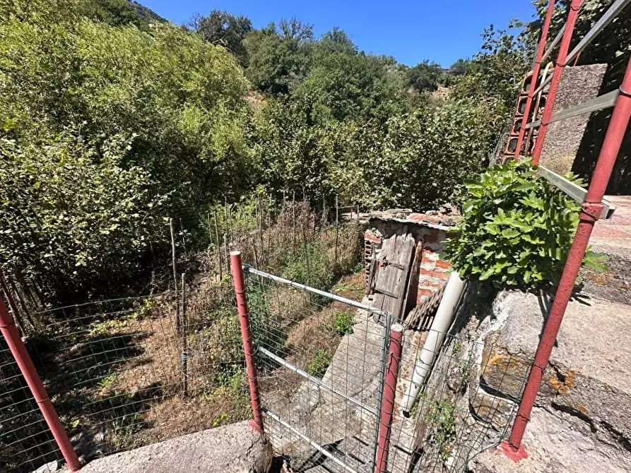 Immagine 18 di Villa in vendita  in Contrada Fiumara 40 a Tortorici