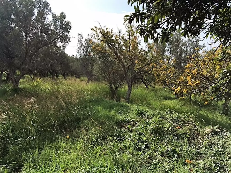 Immagine 2 di Terreno residenziale in vendita  in Località Lenza a Catanzaro