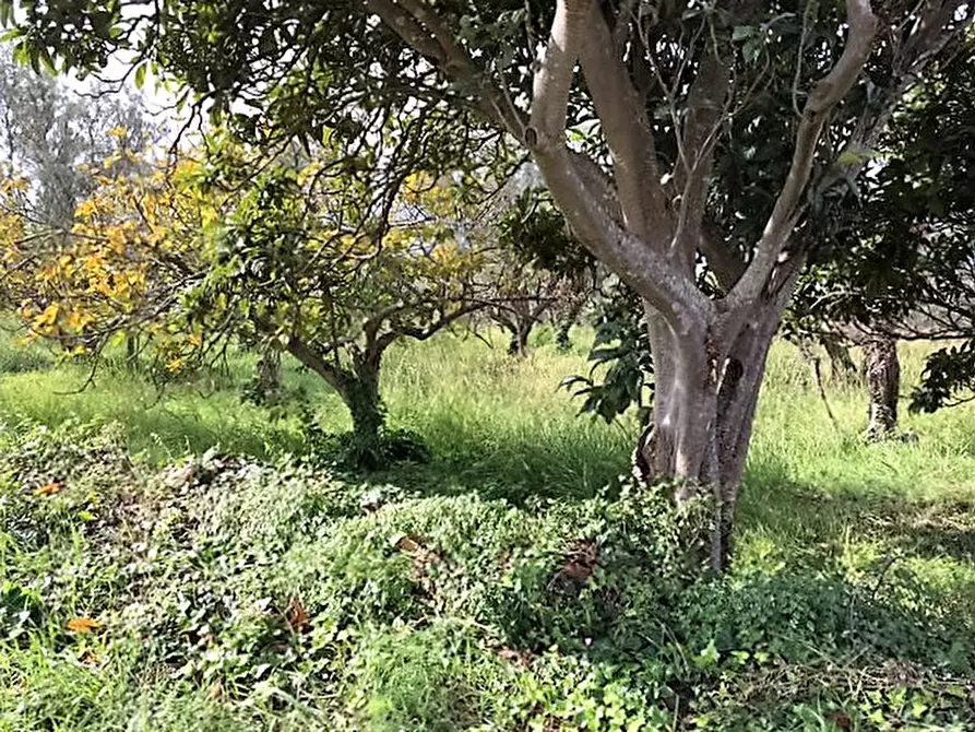 Immagine 3 di Terreno residenziale in vendita  in Località Lenza a Catanzaro