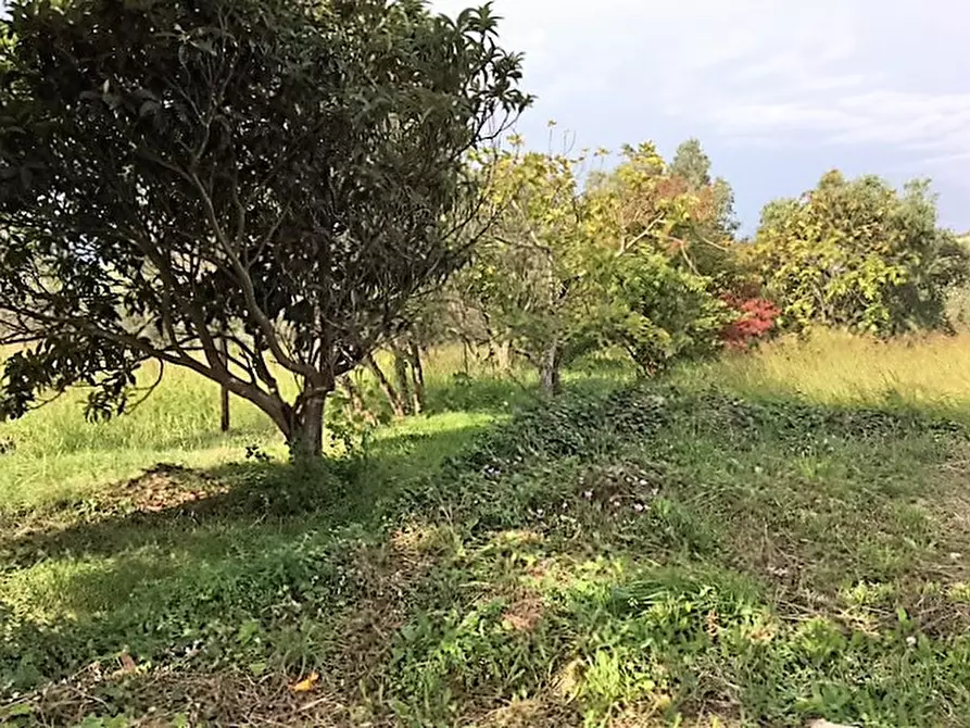 Immagine 4 di Terreno residenziale in vendita  in Località Lenza a Catanzaro