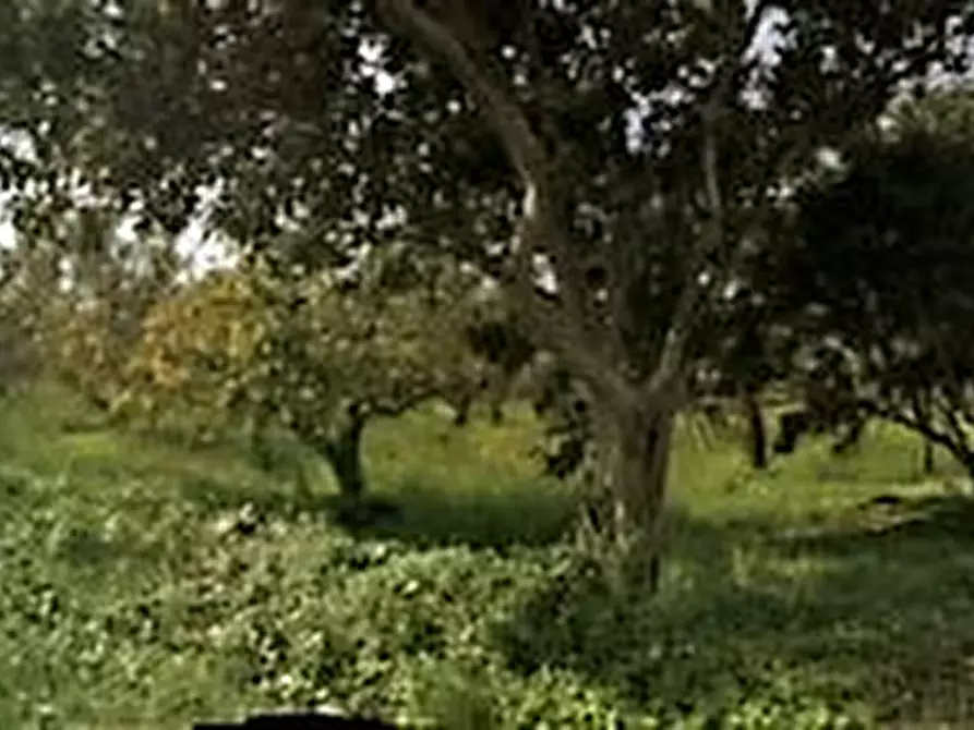 Immagine 8 di Terreno residenziale in vendita  in Località Lenza a Catanzaro