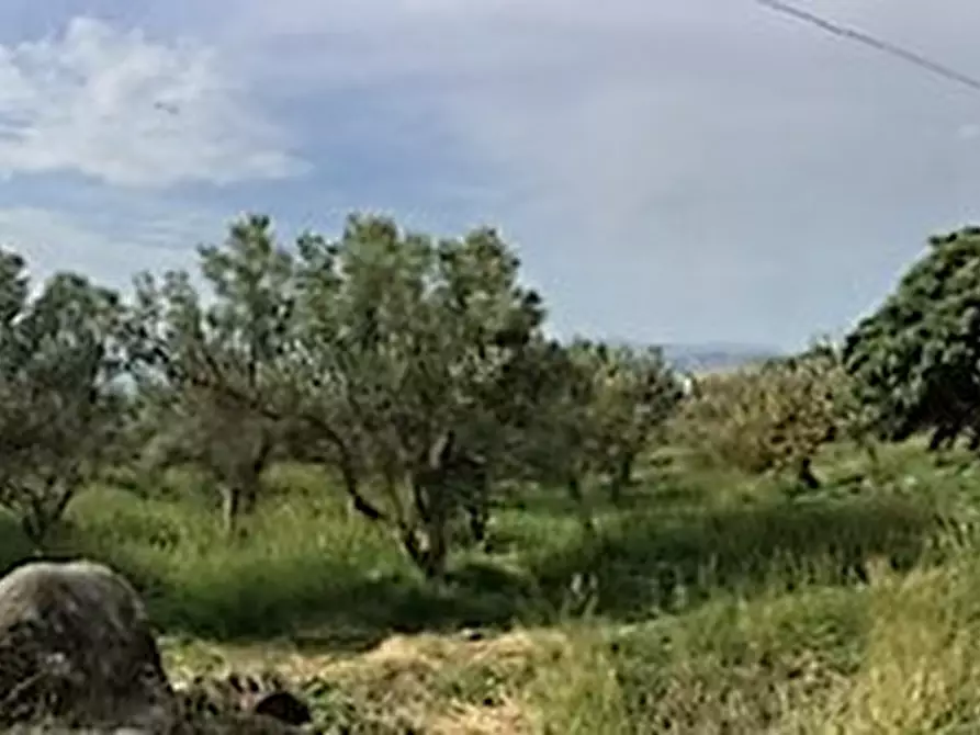 Immagine 9 di Terreno residenziale in vendita  in Località Lenza a Catanzaro