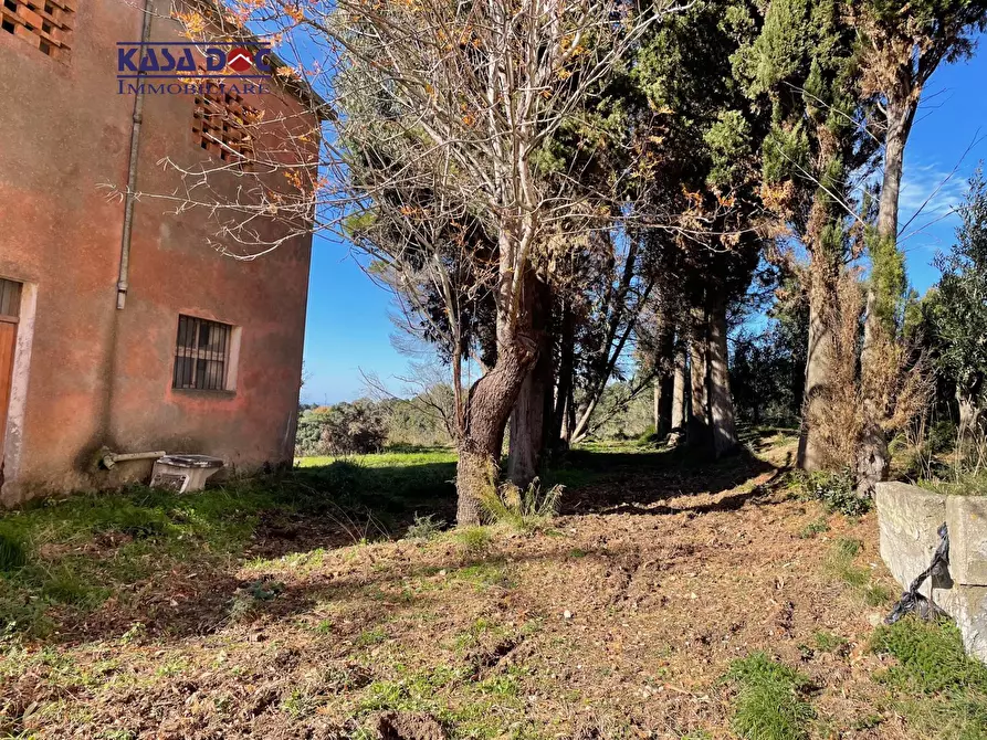 Immagine 3 di Rustico / casale in vendita  in Località Millea a Amaroni