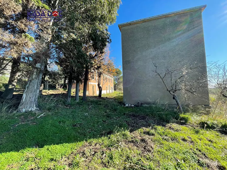Immagine 5 di Rustico / casale in vendita  in Località Millea a Amaroni