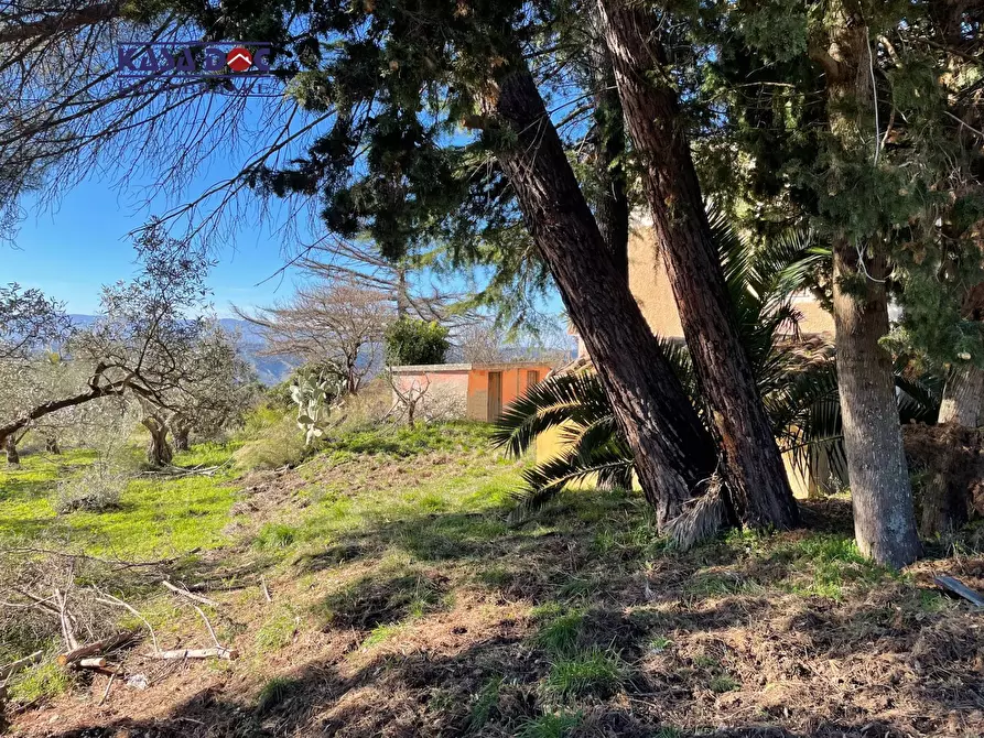 Immagine 6 di Rustico / casale in vendita  in Località Millea a Amaroni