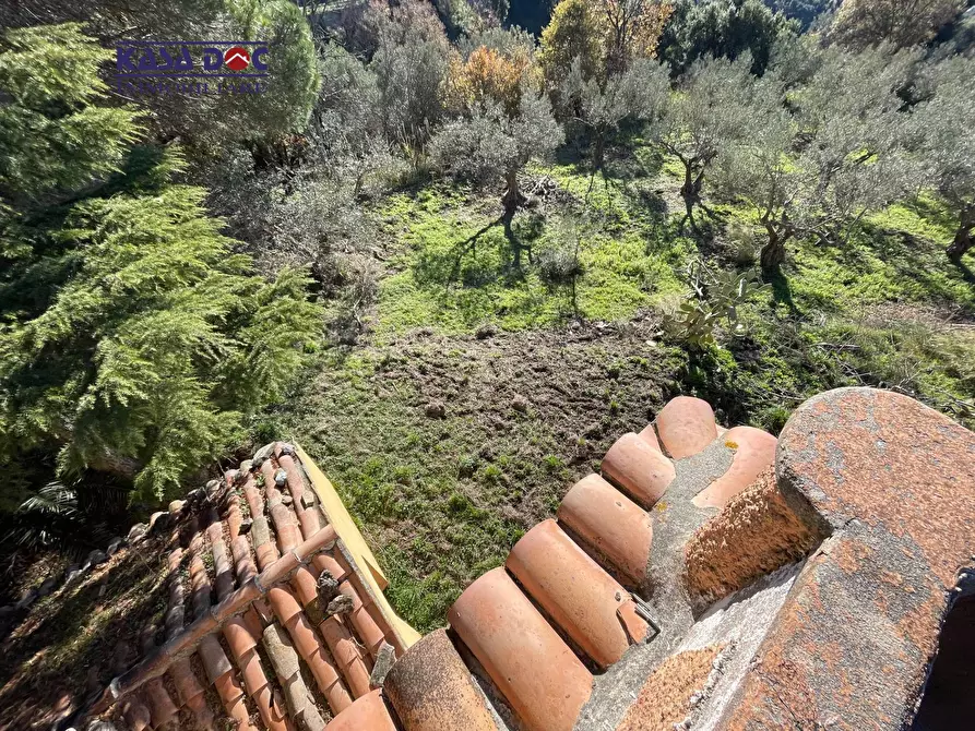Immagine 7 di Rustico / casale in vendita  in Località Millea a Amaroni