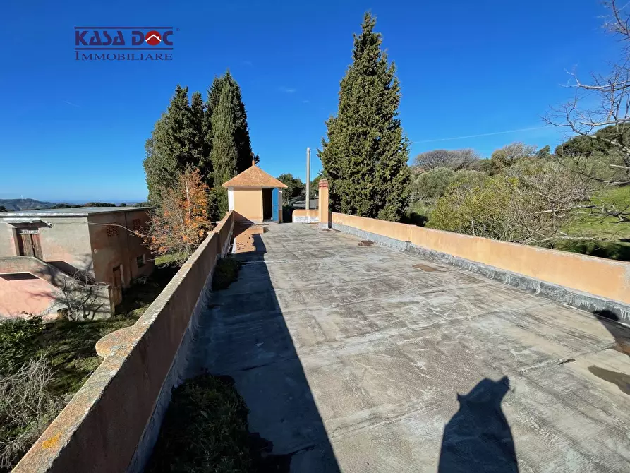 Immagine 13 di Rustico / casale in vendita  in Località Millea a Amaroni