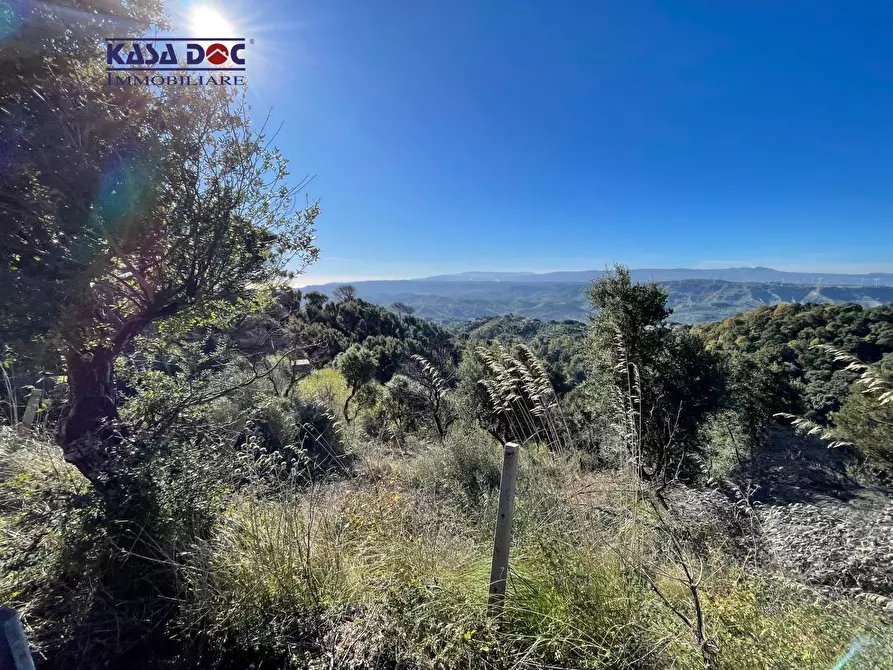 Immagine 19 di Rustico / casale in vendita  in Località Millea a Amaroni