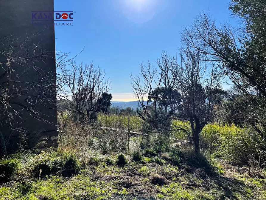 Immagine 20 di Rustico / casale in vendita  in Località Millea a Amaroni