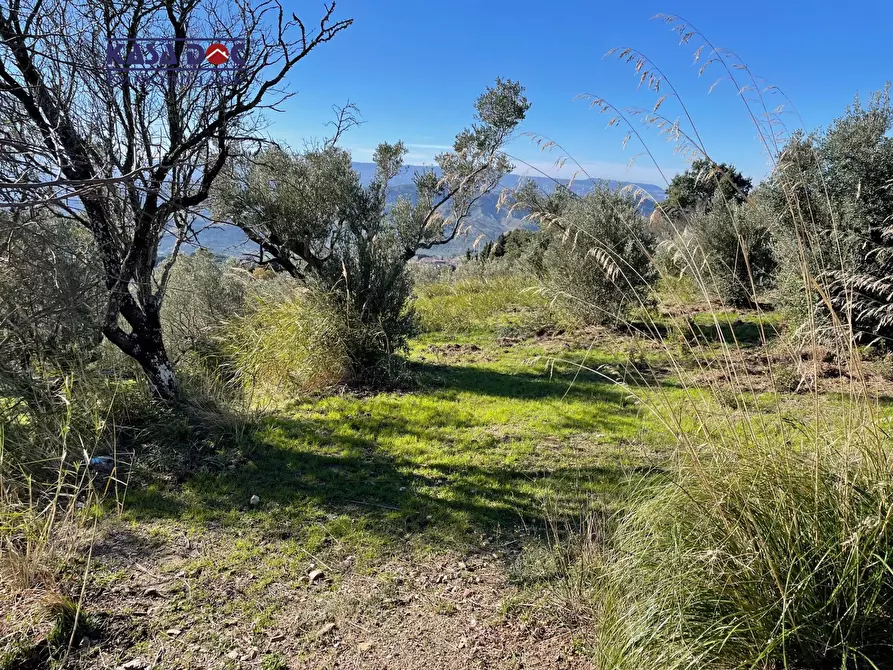Immagine 21 di Rustico / casale in vendita  in Località Millea a Amaroni