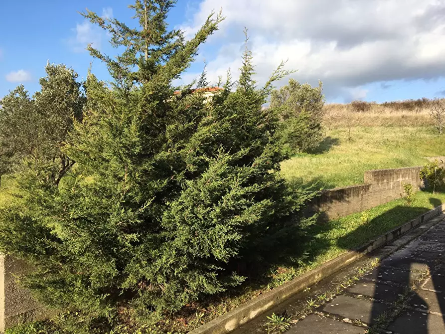 Immagine 16 di Villa in vendita  in Via Solferino a Catanzaro