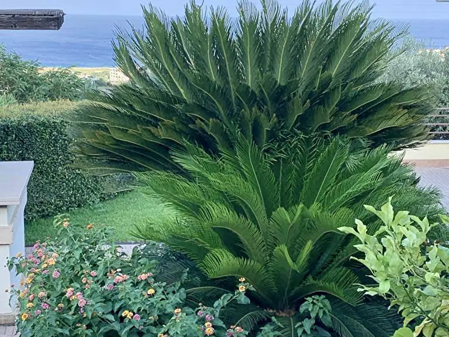 Immagine 3 di Villa in vendita  in Via M. A. Cassiodoro a Soverato