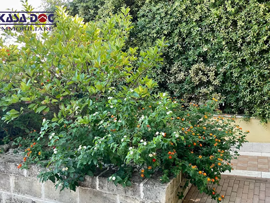 Immagine 37 di Villa in vendita  in Via M. A. Cassiodoro a Soverato