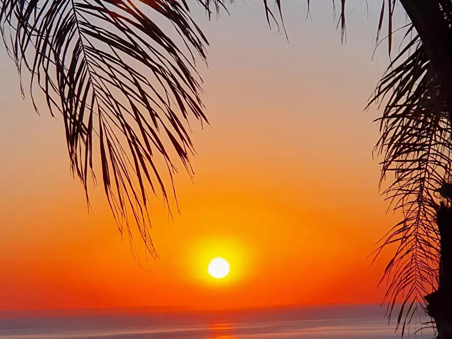 Immagine 44 di Villa in vendita  in Via M. A. Cassiodoro a Soverato