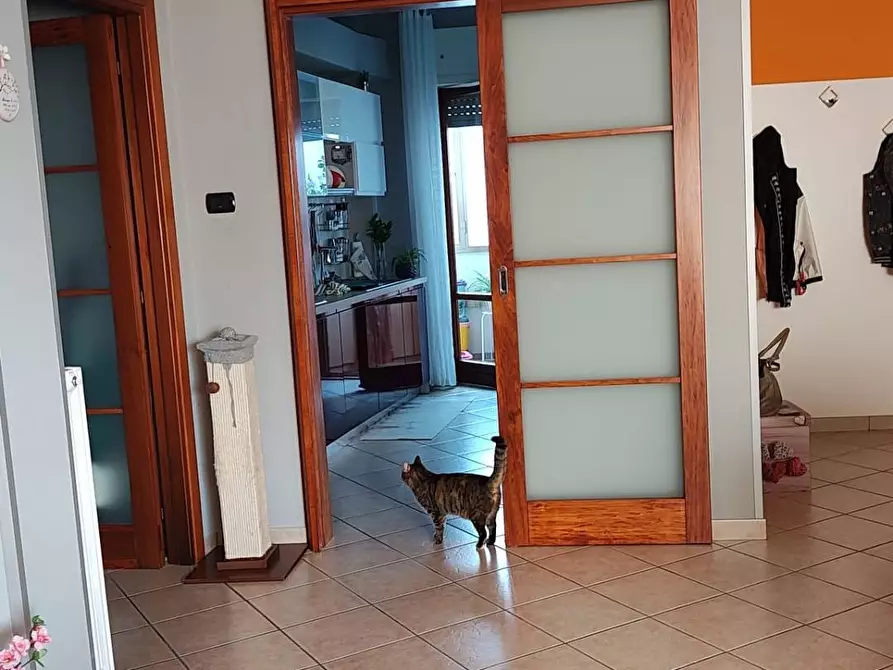 Immagine 6 di Appartamento in vendita  in Viale De Filippis a Catanzaro