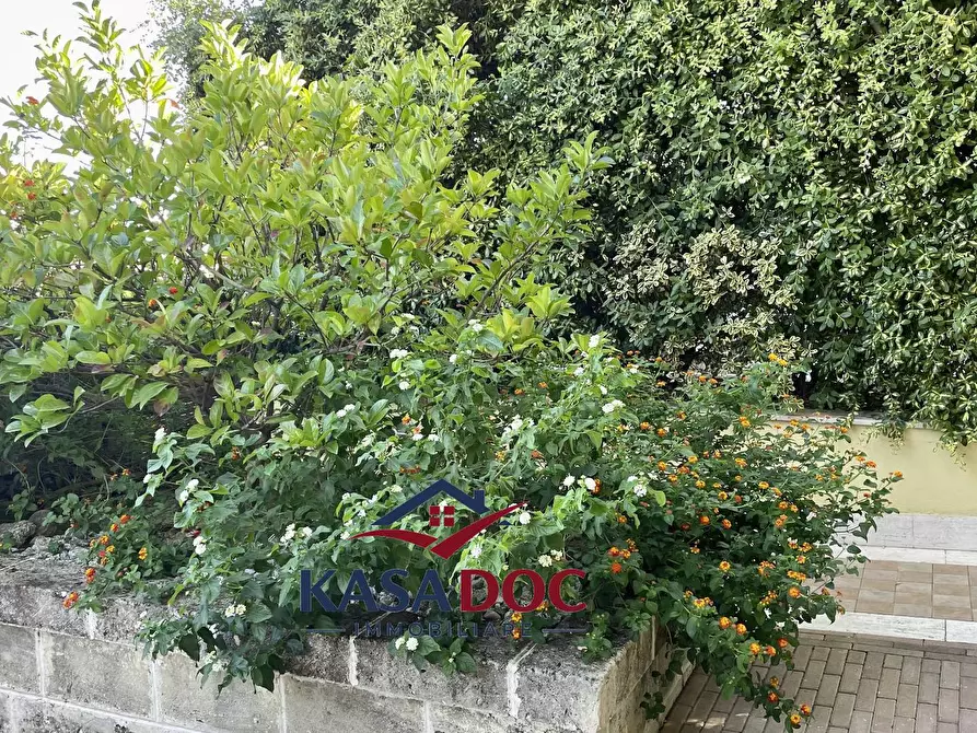 Immagine 37 di Villa in vendita  in Via M. A. Cassiodoro a Soverato